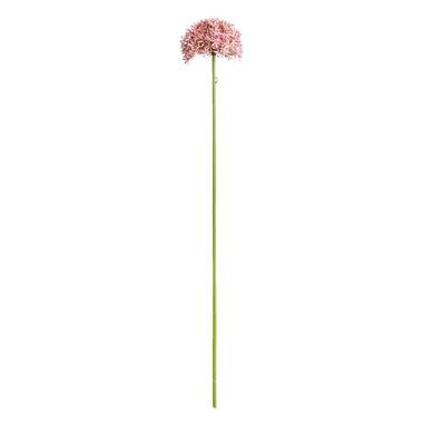 Kunstbloem Allium - roze - 62 cm - Leen Bakker