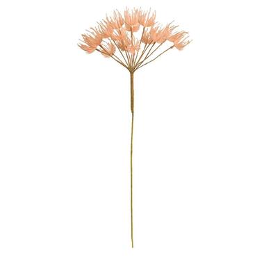 Tak Heracleum - oranje - 82 cm - Leen Bakker