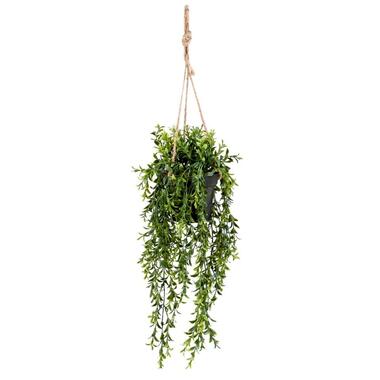 Boxwood kunst hangplant - groen - 50 cm - Leen Bakker