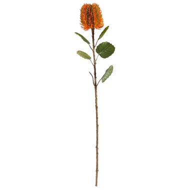 Kunstbloem Banksia - oranje - 57 cm - Leen Bakker