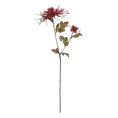 Chrysanthemum spray - bordeaux - 75 cm - Leen Bakker