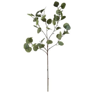 Decoratieve tak Eucalyptus Spray 4 stuks - grijs/groen - 87 cm - Leen Bakker