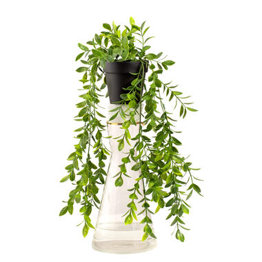 Kunst hangplant Ficus Pumila groen 30 cm Leen Bakker