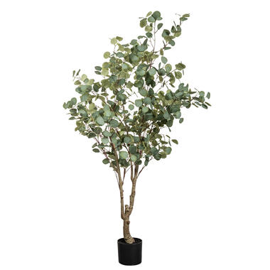 Kunstplant Eucalyptus in pot - groen - 180 cm - Leen Bakker