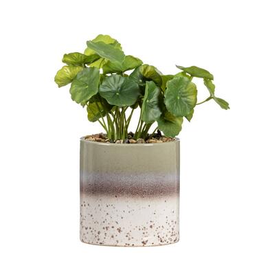 Kunstplant Hydrocotyle in pot - groen - 30 cm product