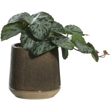 Leen Bakker Kunstplant in pot - groen - 22 cm