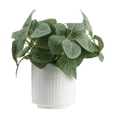 Leen Bakker Kunstplant Sereen in pot - off-white/groen - 23 cm