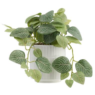 Kunstplant Sereen in pot - off-white/groen - 20 cm - Leen Bakker