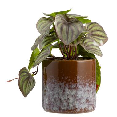 Leen Bakker Kunstplant Retro in pot - bruin - 23 cm