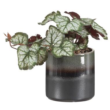 Leen Bakker Kunstplant Retro in pot - groen - 21 cm