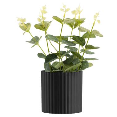 Kunstplant Eucalyptus in pot - groen/zwart - 25 cm - Leen Bakker