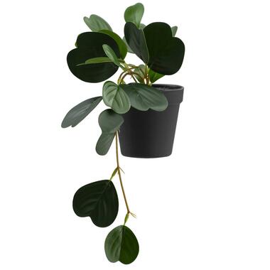 Kunstplant Japonica in pot - groen - 22 cm product