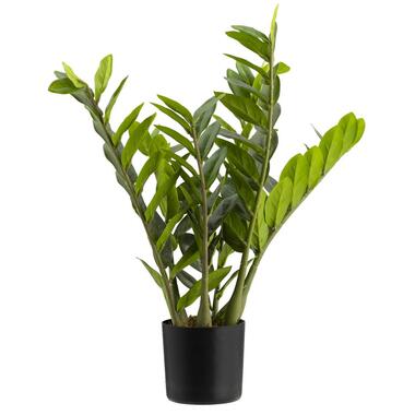 Kunstplant Zamioculcas in pot - groen - 58 cm - Leen Bakker