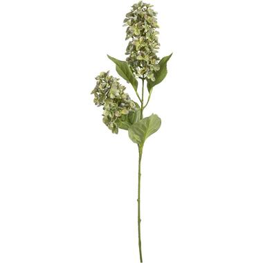 Kunstbloem Hydrangea Paniculata Spray - groen - 76 cm product