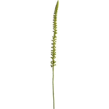 Leen Bakker Kunstbloem Donkey Tail Spray - groen - 86 cm