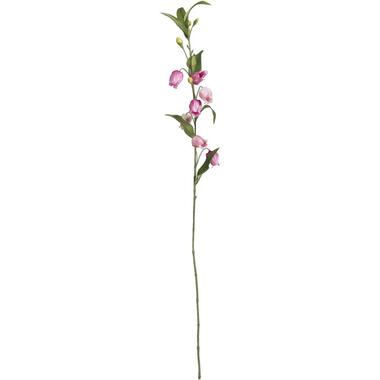 Leen Bakker Kunstbloem Sandersonia Spray - roze - 95 cm