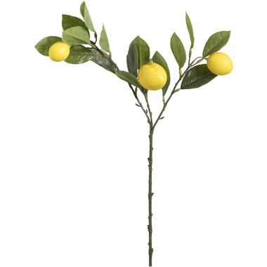 Leen Bakker Kunstbloem Lemon Spray - geel - 65 cm