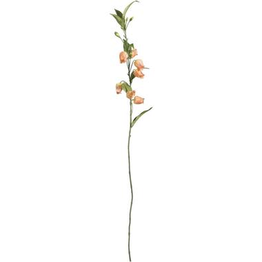 Leen Bakker Kunstbloem Sandersonia Spray - peach - 95 cm