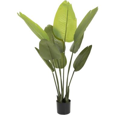 Kunstplant Strelizia - groen/zwart - 120 cm product