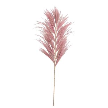 Droogbloemen Grass plume - oudroze - 118 cm - Leen Bakker