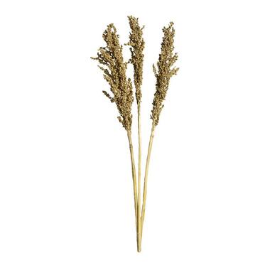 Droogbloemen Indian Corn 3 stuks- goudkleurig - 70 cm - Leen Bakker