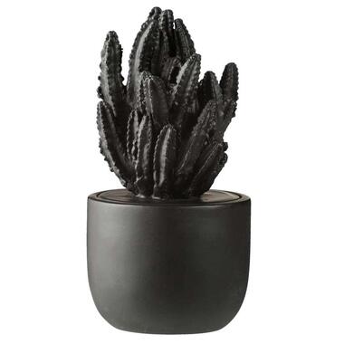 Ornament Plant - zwart - 17x?9 cm - Leen Bakker
