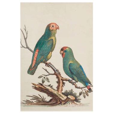 Leen Bakker Print op hout vogels - beige/groen - 60x40 cm