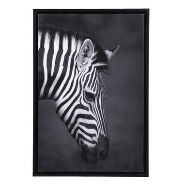 Schilderij Zebra - canvas - 64x44 cm - Leen Bakker