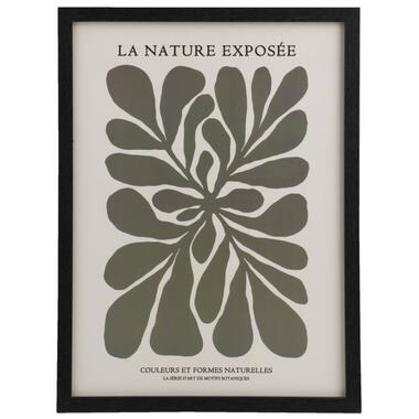 Poster La nature - multikleur - 30x40 cm - Leen Bakker