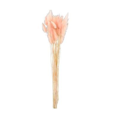 Droogbloemen Lagurus - roze - 45 cm - Leen Bakker