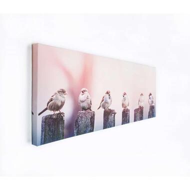 Art for the Home - Canvas - Vroege Vogels - 40x100 cm product