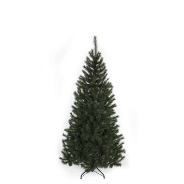 Black Box kerstboom Kingston - 185 cm product