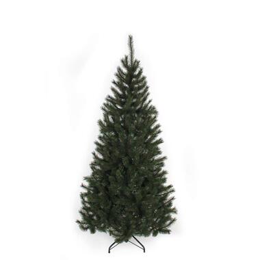 Black Box kerstboom Kingston - 215 cm product