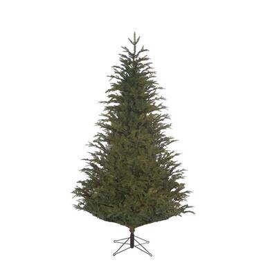 Black Box kerstboom Frasier - groen - 215x145 cm product
