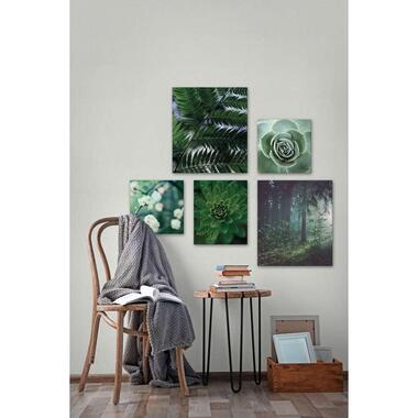 Wohnidee canvas set van 5 Puur Natuur - groen - 60x80 cm product