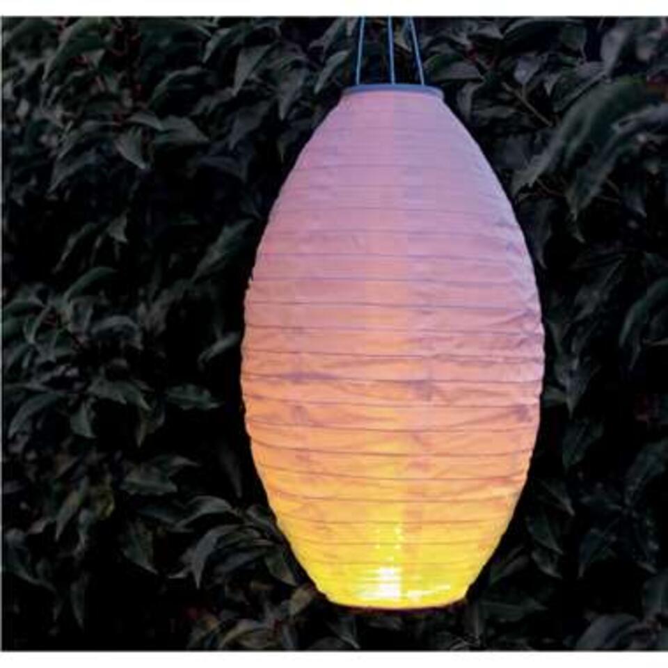 Lampion - solar - met realistisch vlameffect - 30 x 50 cm