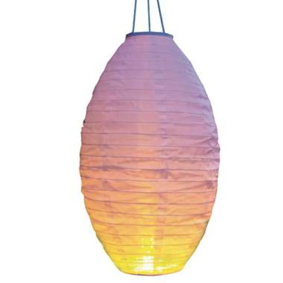 Lampion - solar - met realistisch vlameffect - 30 x 50 cm