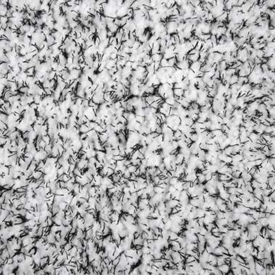 Beliani Shaggy - DEMRE zwart polyester 140x200 cm
