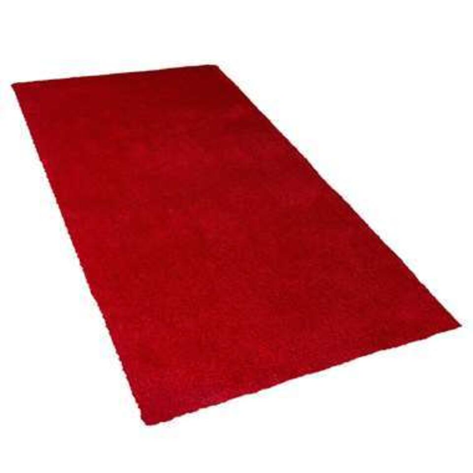 Beliani Shaggy - DEMRE rood polyester 80x150 cm