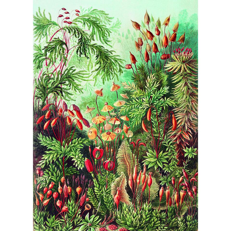Art for the Home - Hanging Poster - Forest - 80x60