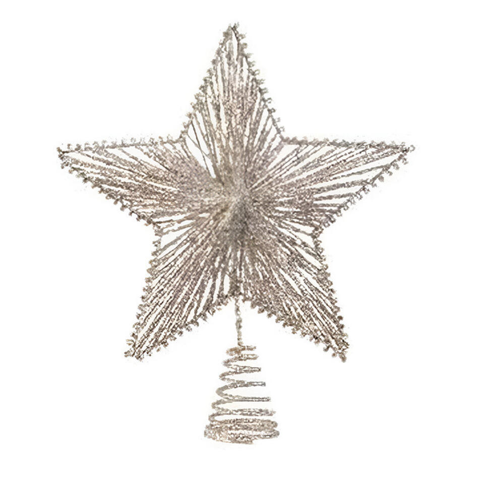 Kerstboompiek - champagnekleurig - ster piek - 25 cm Leen