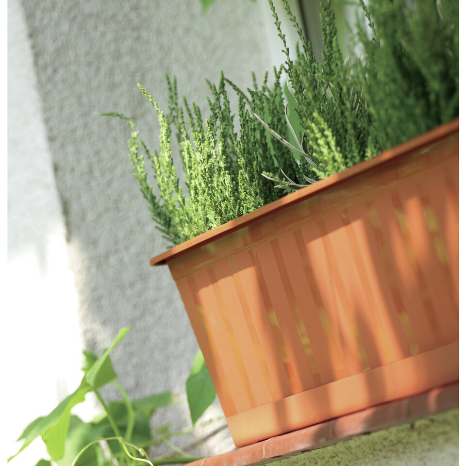 Prosperplast Plantenbak Agro - terracotta - rechthoekig - 40 cm