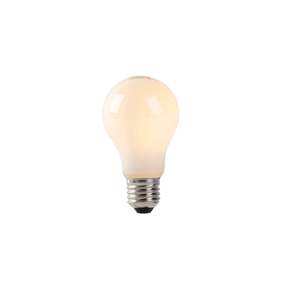 Verfijnen blok Aanbeveling LUEDD LED lamp A60 E27 1W 2200K opaal flame filament | Leen Bakker