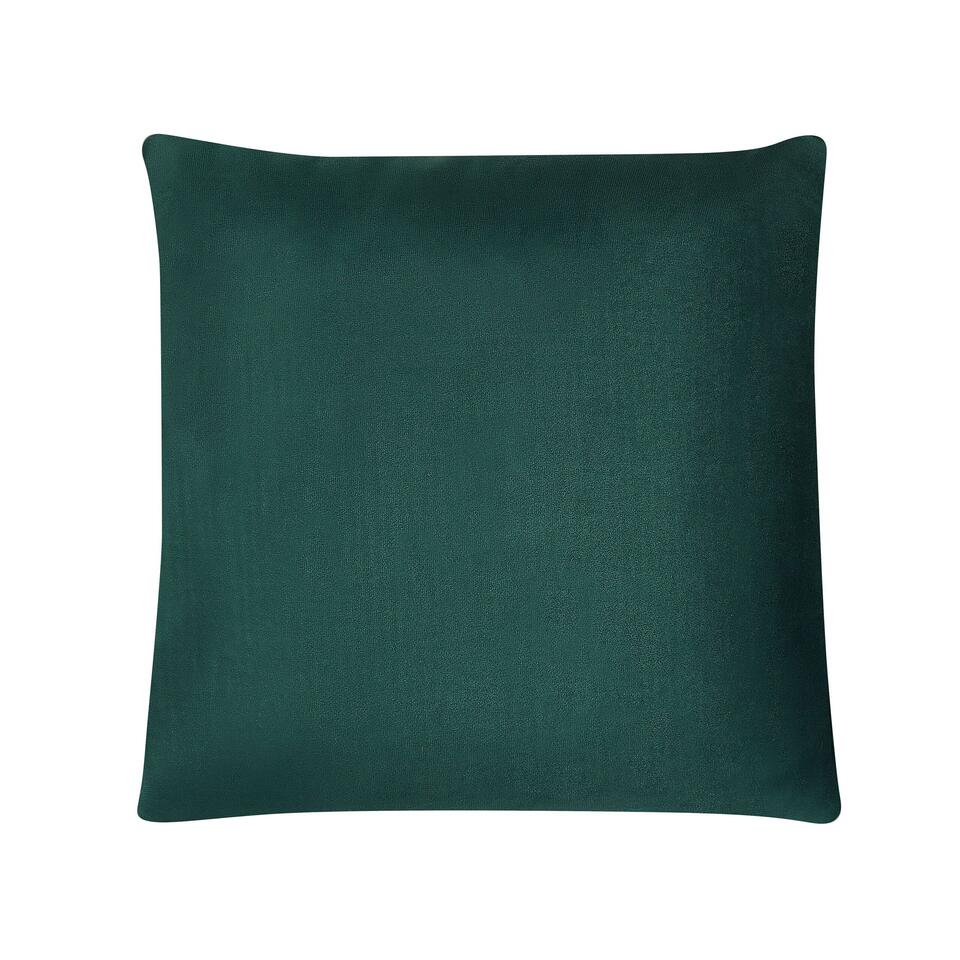 Beliani Sierkussen CEROPEGIA - Groen polyester, katoen