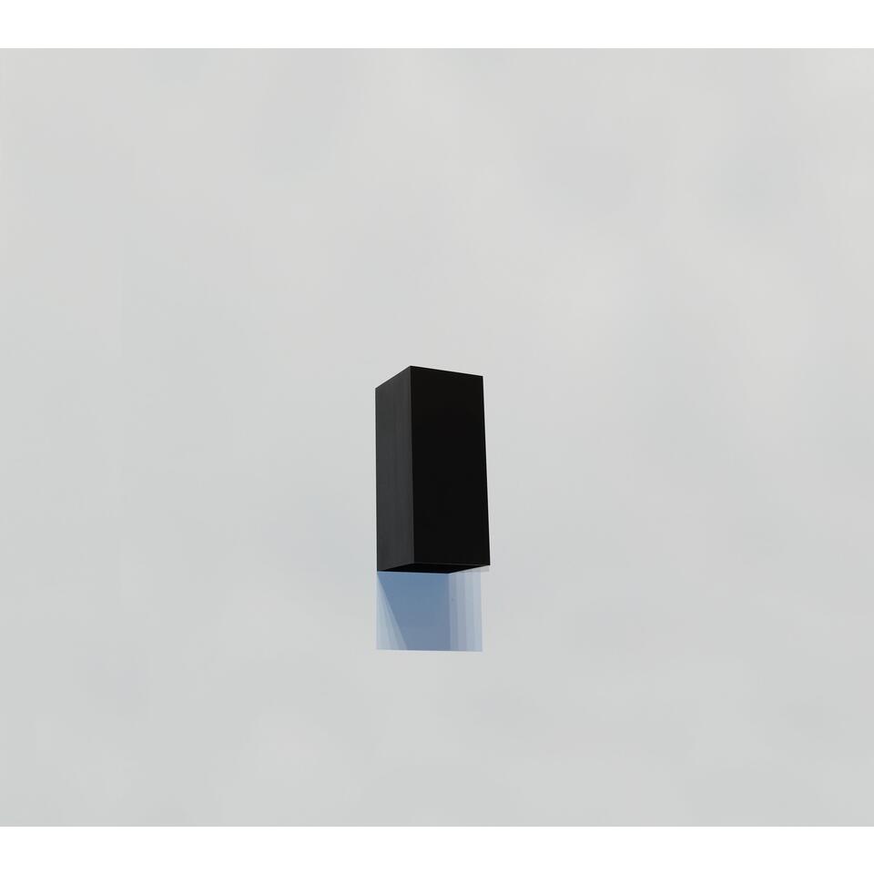 Artdelight Wandlamp Dante 2 lichts 15,5 x 6,5 cm zwart