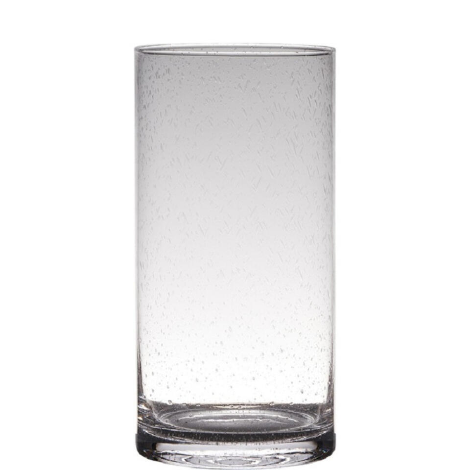 Mexico Seizoen hanger Hakbijl Glass Vaas - cilinder - bubbel glas - 30 x 15 cm | Leen Bakker