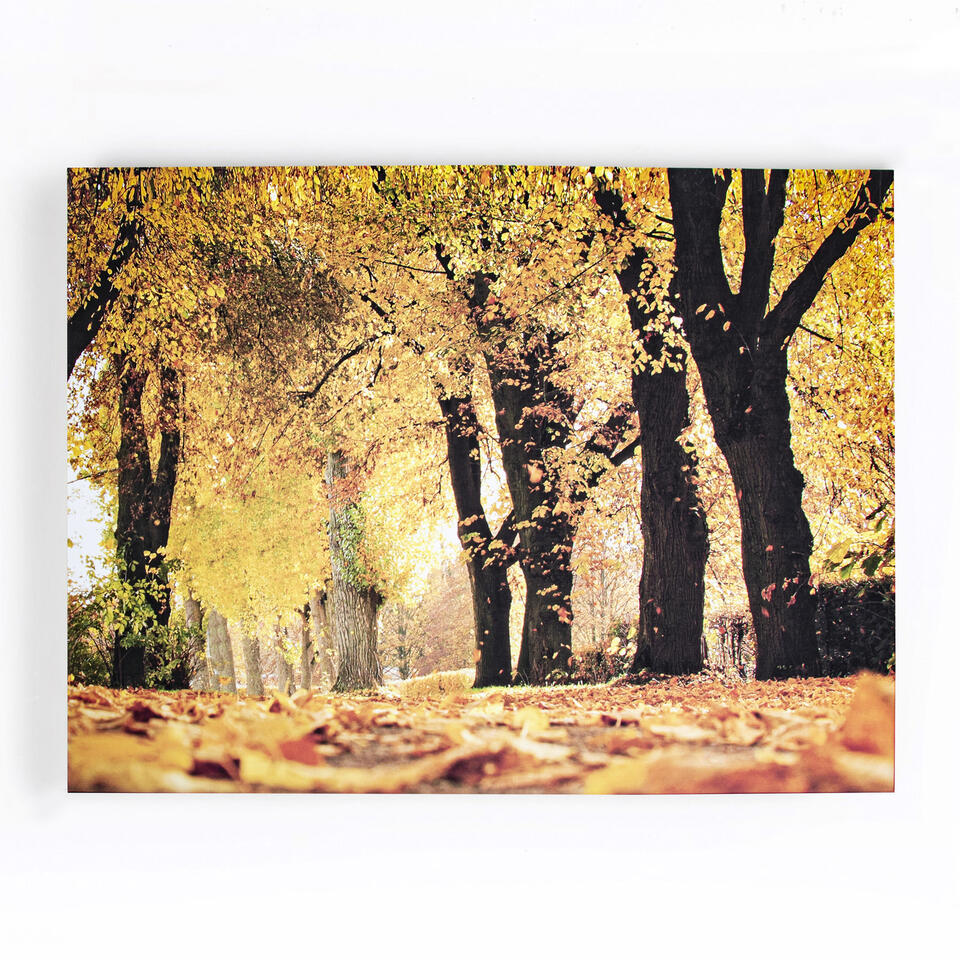 Art for the Home - Canvas - Herfst - 100x75cm