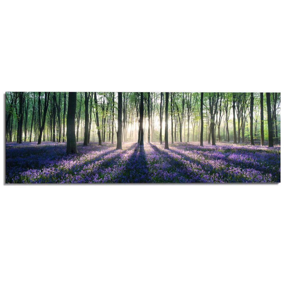 Schilderij Voorjaar in het bos 52x156 cm Paars Hout