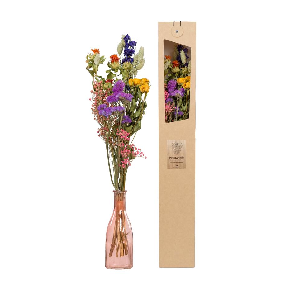 Droogbloemen met Vaas – Veldboeket incl. Vaas – Meerkleurig – ↕50-55 cm