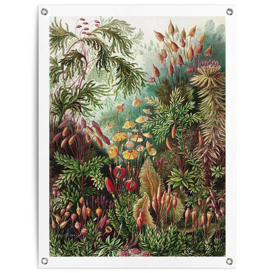Tuinposter Sea Flora 80x60 cm Groen Canvas product